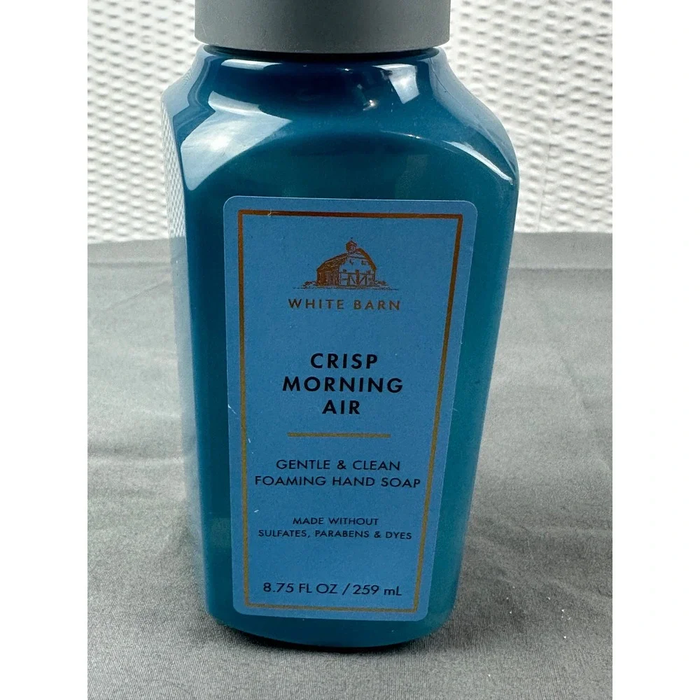 Bath & Body Works Crisp Morning Air Gentle Foaming Hand Soap 8.75 oz